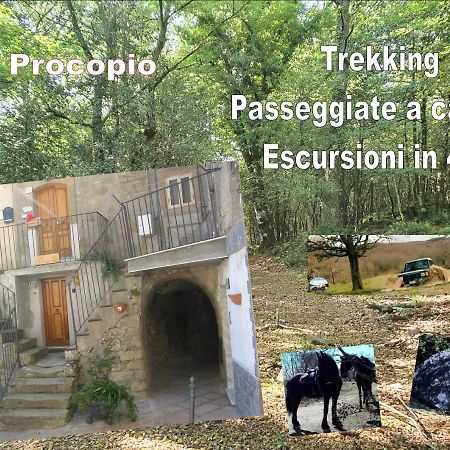 Affitta Camere San Procopio Troina エクステリア 写真
