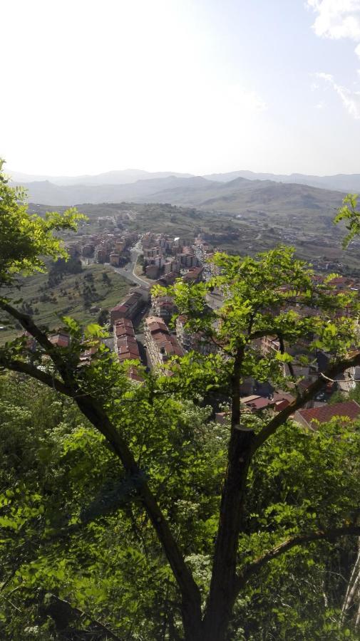 Affitta Camere San Procopio Troina エクステリア 写真